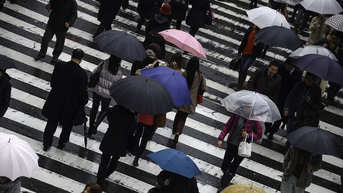 Ziua Internațională a Umbrelei