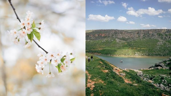 Prognoza meteo pe următoarele 4 săptămâni: Vremea se încălzește începând de luni