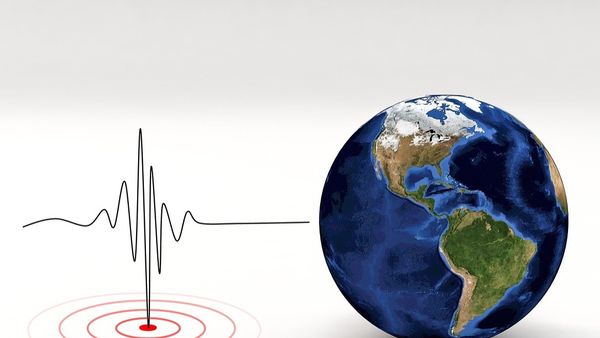 Aplicația care te avertizează cu 25 de secunde înainte de un cutremur
