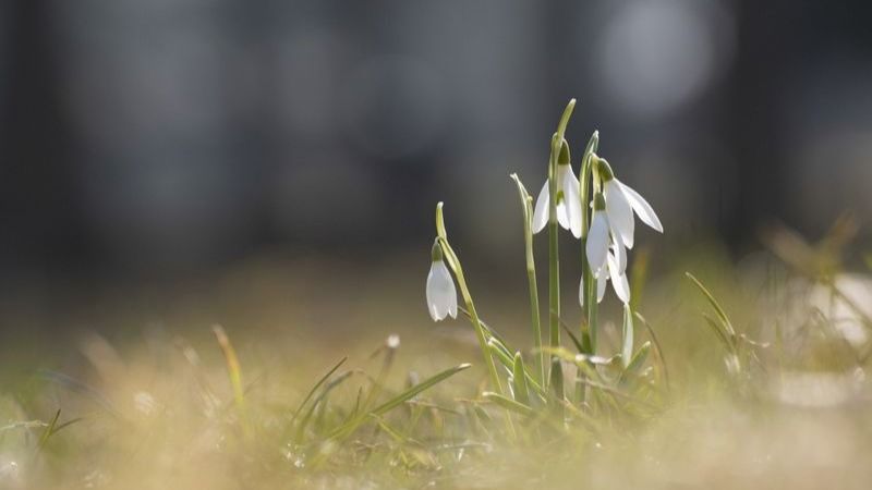 Vremea &icirc;n weekendul 18-19 februarie 2023: Vine primăvara! Vom avea temperaturi de 18 grade Celsius