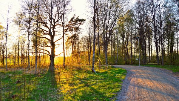 Vremea pentru perioada 21-28 februarie 2023: Prognoza meteo pentru ultima săptămâna de iarnă