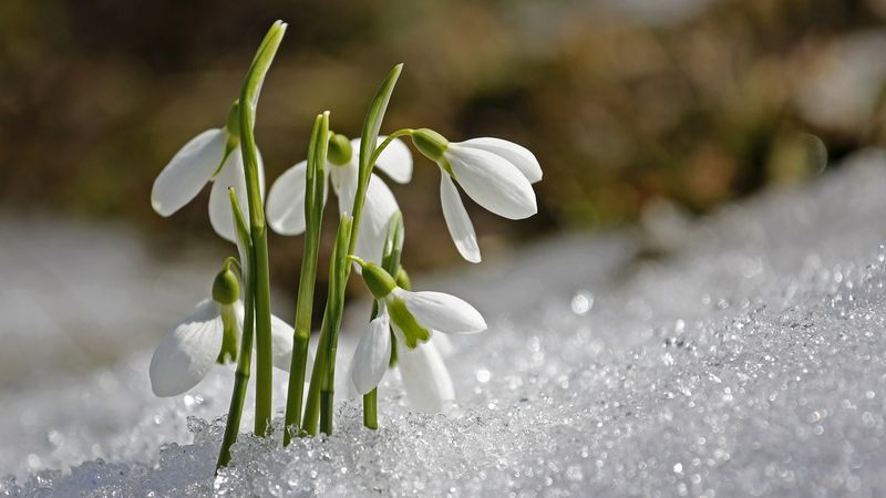 Vremea &icirc;n luna martie 2023: Prognoza meteo. Ce ne rezervă prima lună de primavară?