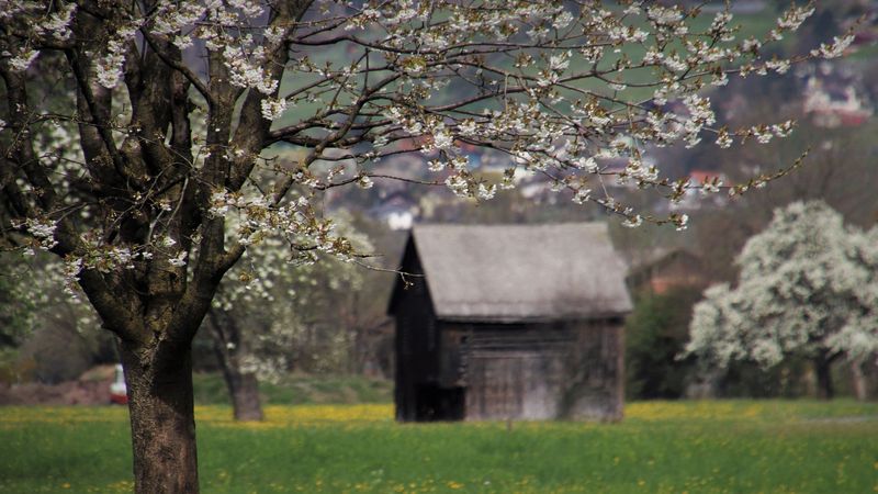Vremea în luna martie 2023: Prognoza meteo. Ce ne rezervă prima lună de primavară?