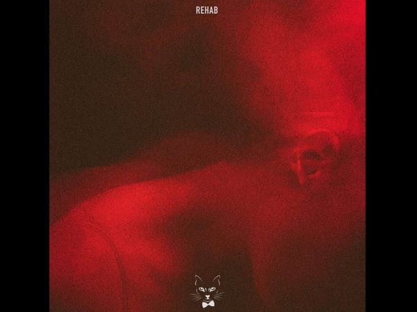 &bdquo;Așa a luat naștere acest EP&rdquo;. The Motans a lansat albumul - "Rehab"