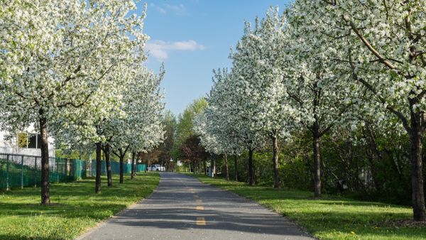 Prognoza meteo pentru a doua jumătate a lunii martie: Se întoarce iarna în România?
