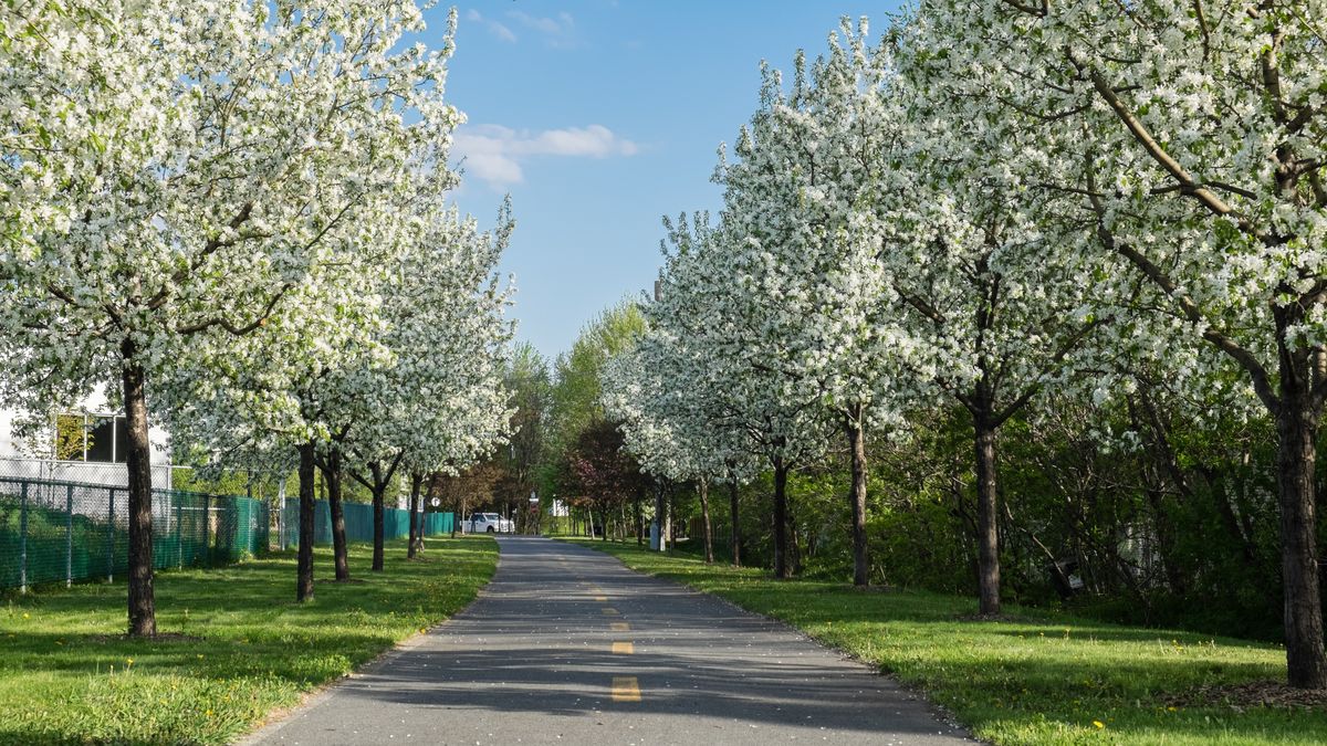 Prognoza meteo pentru a doua jumătate a lunii martie: Se întoarce iarna în România?