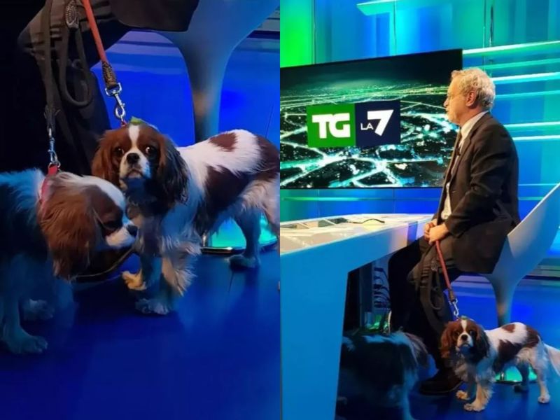 Un prezentator de știri a dezvăluit ce ascunde sub pupitru