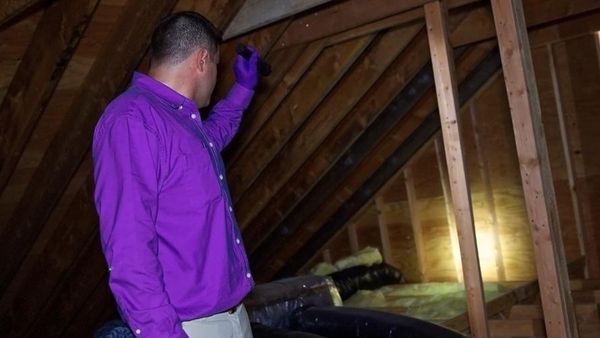 Un bărbat a rămas șocat după descoperirea făcută în podul casei. A pozat totul și a arătat peste ce a putut să dea