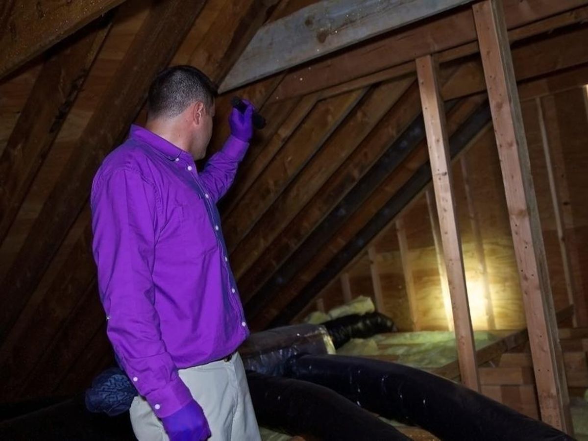 Un bărbat a rămas șocat după descoperirea făcută în podul casei. 