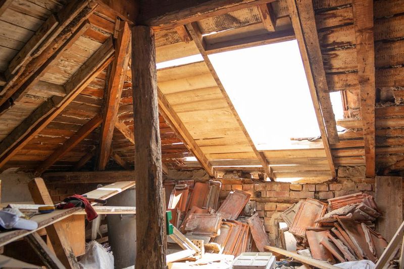 Un bărbat a rămas șocat după descoperirea făcută în podul casei