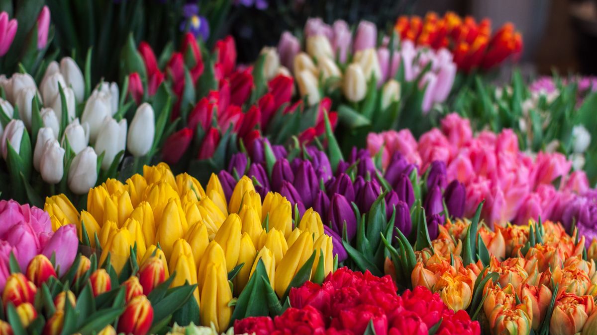 Floriile 2023: Este sărbătoare mare! Ce trebuie să faci &icirc;n această zi pentru a avea noroc