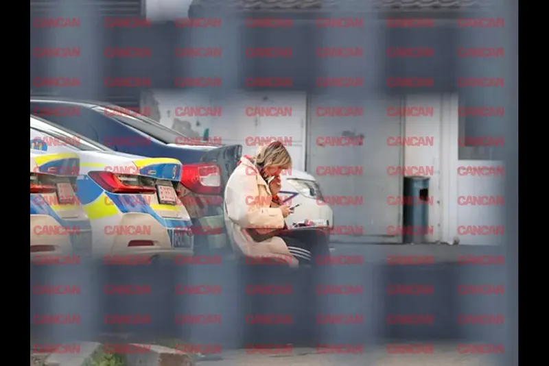 Monica Odagiu accident mortal