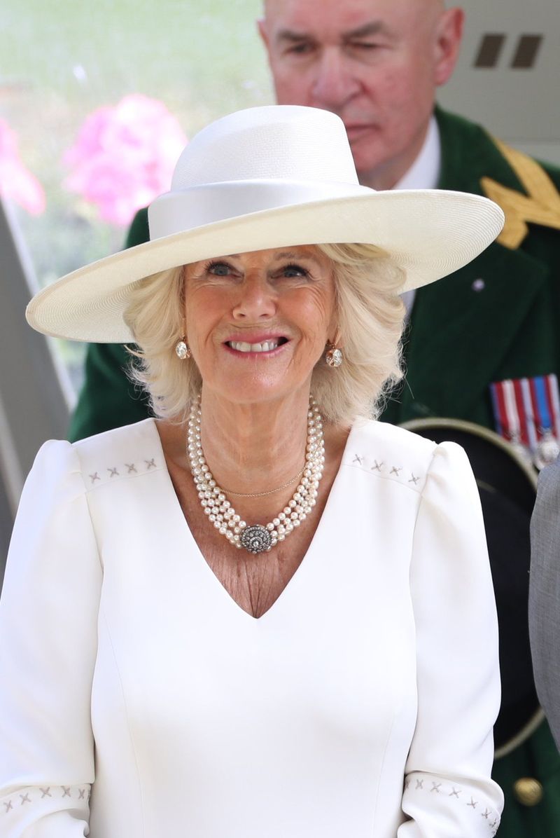 Cat a cheltuit Camilla pe interventiile estetice