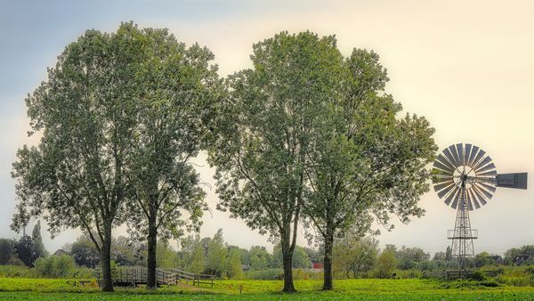 Vremea de coșmar în România: Atenționare de ultimă oră de la meteo