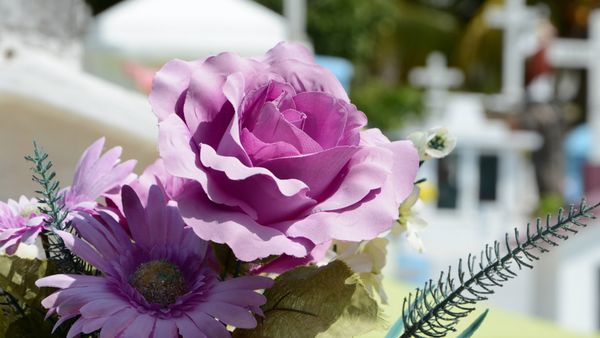 Înțelegerea serviciilor de repatriere pentru persoanele decedate