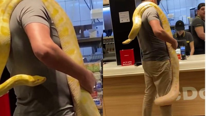 Imagini halucinante, filmate &icirc;n plină zi. Un bărbat din T&acirc;rgu Mureș a mers la cumpărături cu un piton de 25 de kilograme pe umăr: &rdquo;C&acirc;nd e coada prea mare și vrei să &icirc;ți faci loc&rdquo; - VIDEO