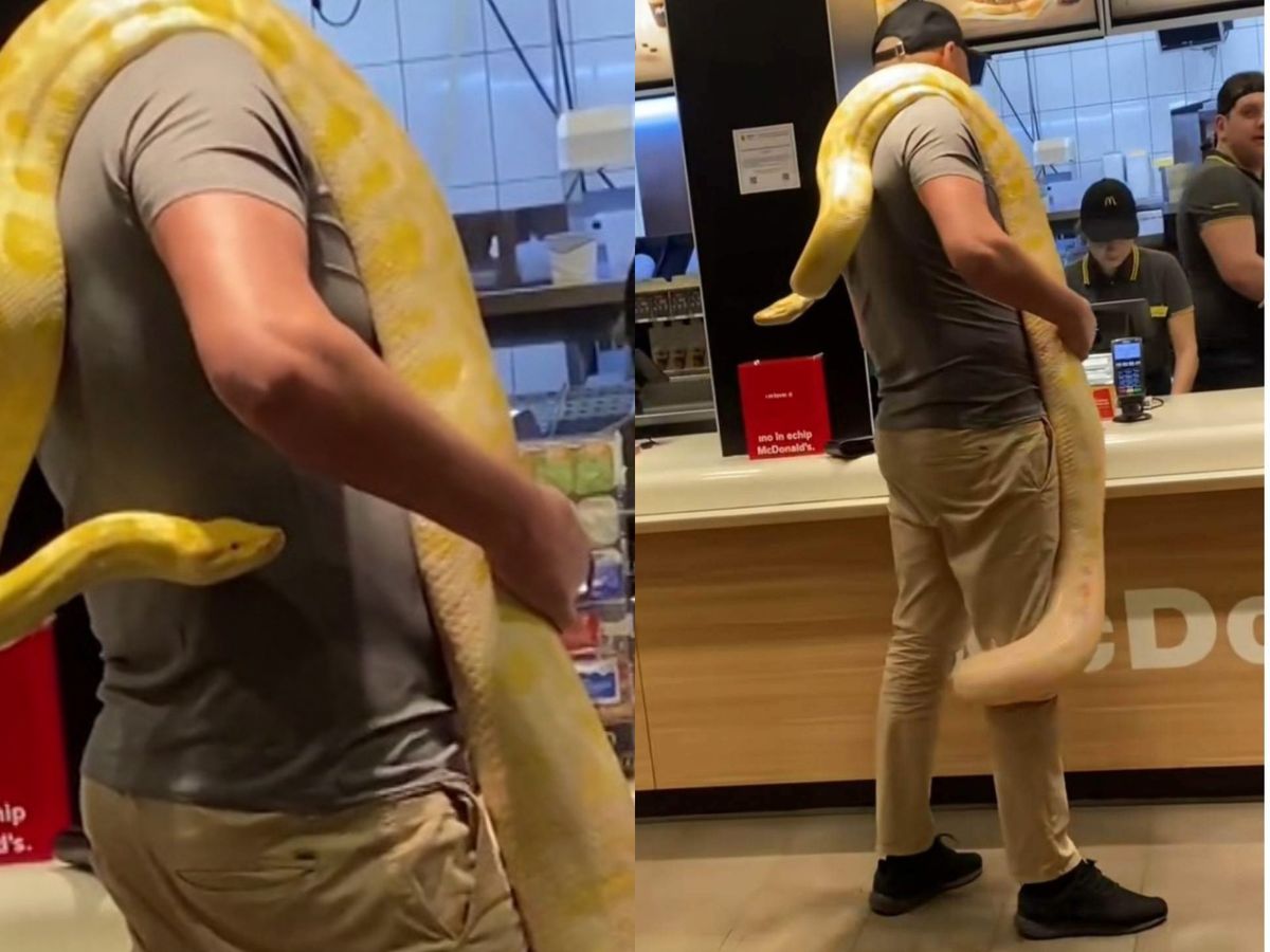 Un bărbat din Târgul Mureș a plecat la mall cu pitonul de 25 de kilograme pe umăr