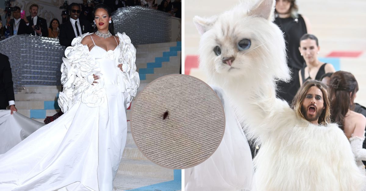 Gandacul-vedeta de la Met Gala 2023