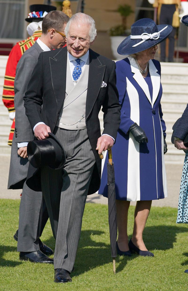 Regele Charles complex