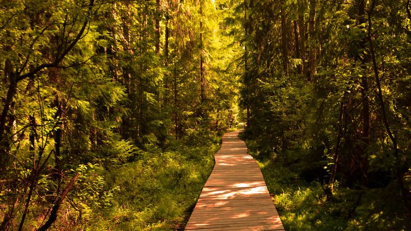 Locuri impresionante din România pe care le poți vizita în mini-vacanța de 1 iunie - Rusalii 2023