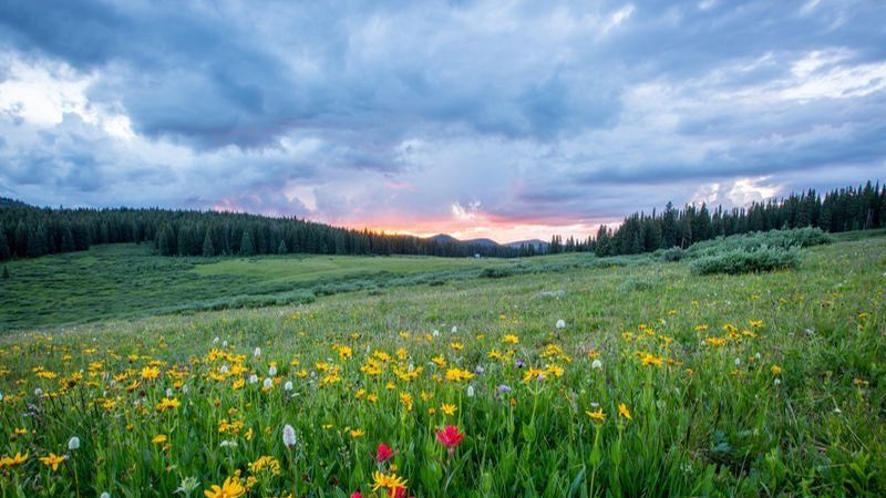 Prognoza meteo 15 - 31 mai 2023: Anunț-surpriză de la meteorologi