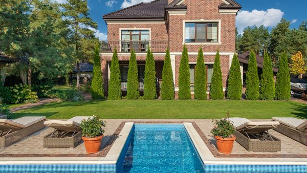 5 plante ideale pentru o grădină de vis