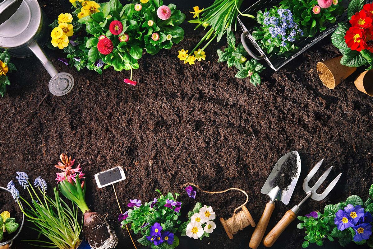 Care este diferenta dintre sera si solar