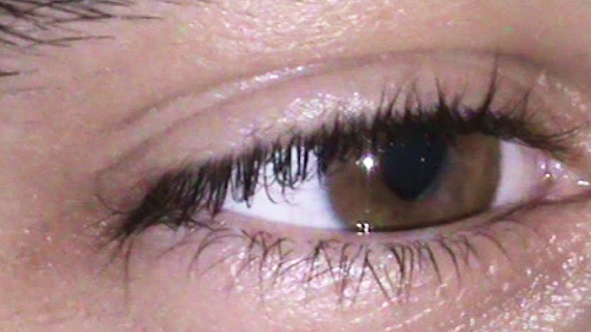 Spania'99 x 911 - VINE NOAPTEA