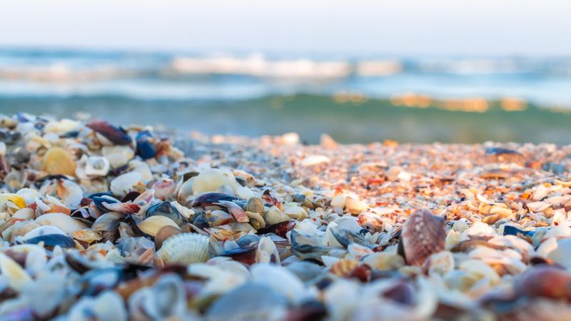 Topul celor mai frumoase destinații de pe litoralul rom&acirc;nesc