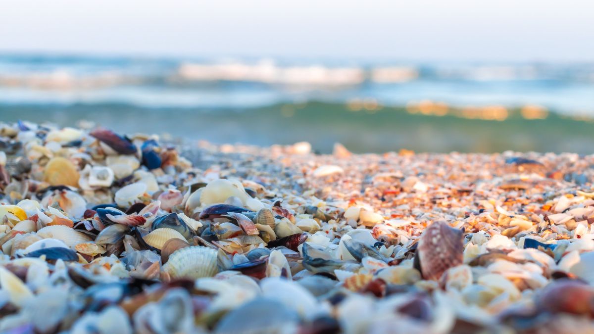 Temperatura apei mării în weekendul 16-18 iunie 2023 pentru Marea Neagră: Se poate face baie în mare în Mamaia, Constanța, Eforie, Costinești, Mangalia și Vama Veche