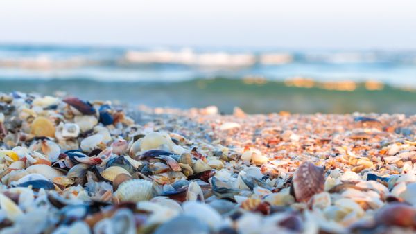 Temperatura apei mării în weekendul 16-18 iunie 2023 pentru Marea Neagră: Se poate face baie în mare în Mamaia, Constanța, Eforie, Costinești, Mangalia și Vama Veche