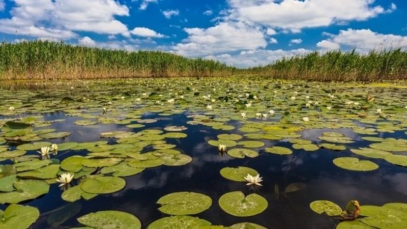 Dimineața pe doi cu Greeg și Cernat! Locul de la noi din țară unde turiştii vin fără oprire. Românii sunt din ce în ce mai captivați de Delta Dunării