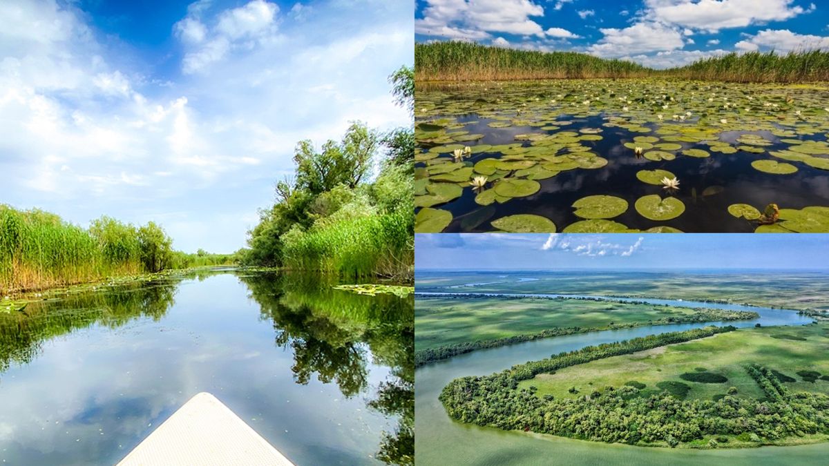 Delta Dunării este cea mai căutată destinație de români