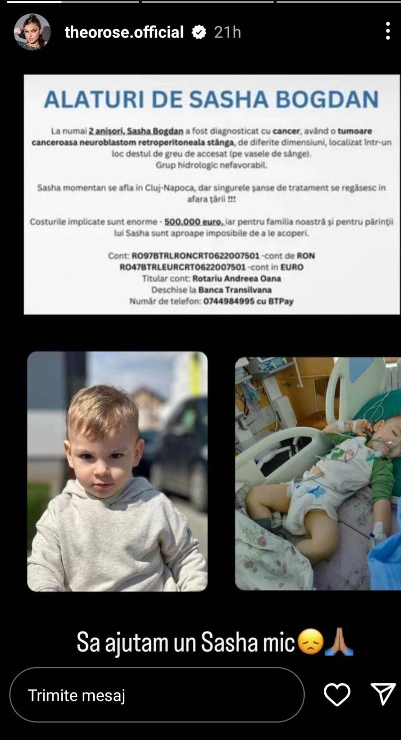 Postarea făcută de către Theo Rose