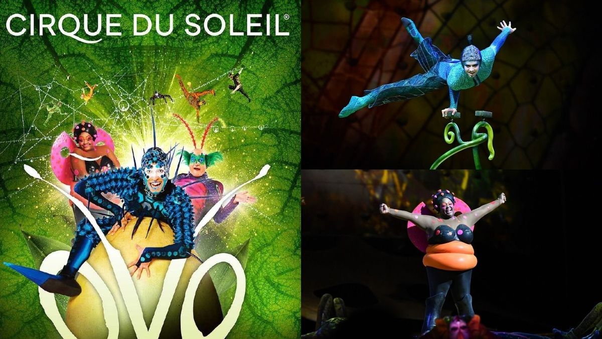 VO – spectaculosul Cirque du Soleil – vine în București