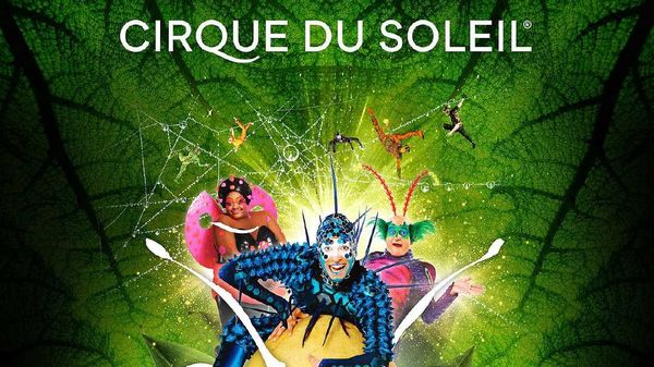 OVO &ndash; spectaculosul Cirque du Soleil &ndash; vine &icirc;n București! Un spectacol plin de culoare și energie pentru toate v&acirc;rstele
