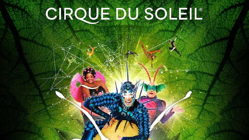 OVO &ndash; spectaculosul Cirque du Soleil &ndash; vine &icirc;n București! Un spectacol plin de culoare și energie pentru toate v&acirc;rstele