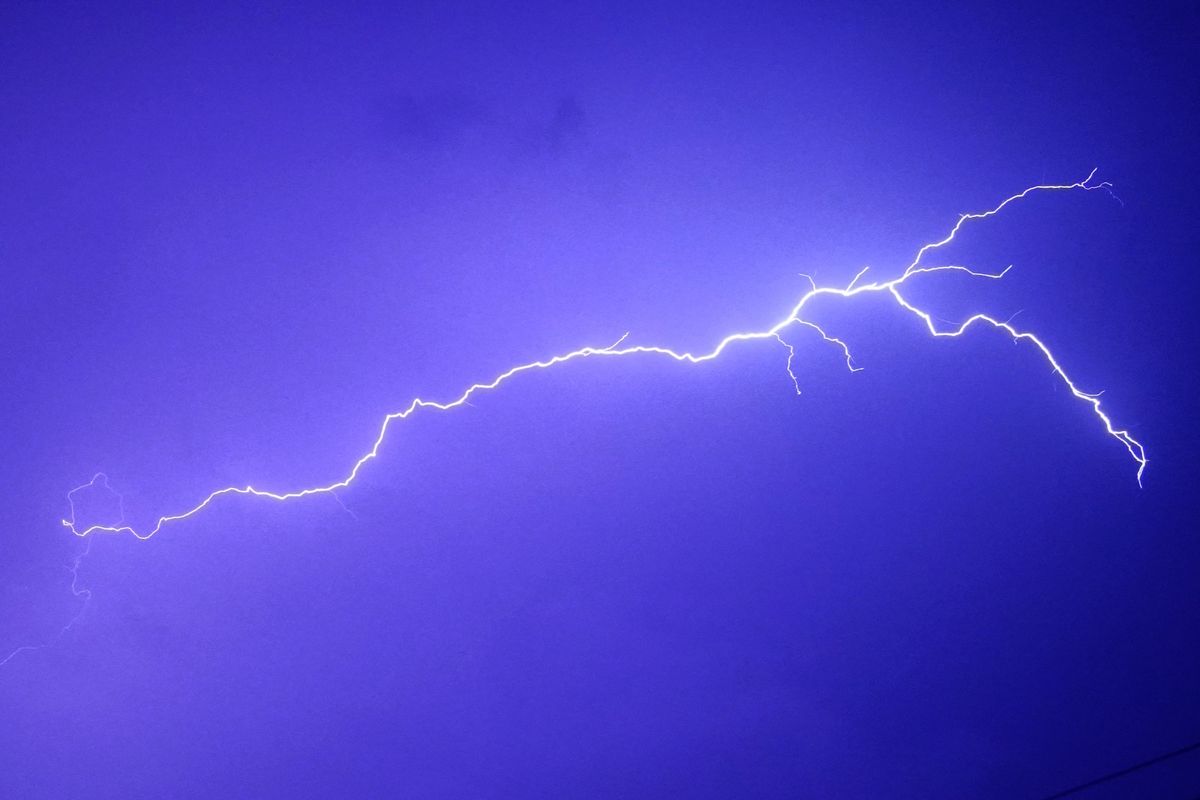 Cod galben de vijelii