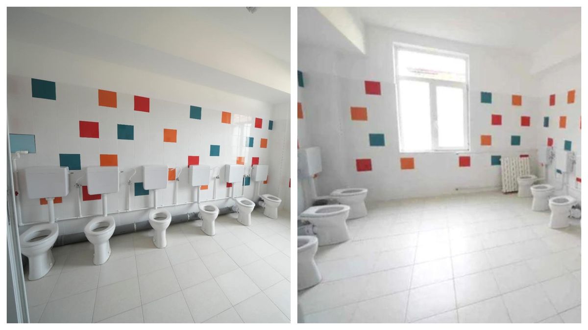 Lia Olguța Vasilescu a lăudat WC-urile fără separatoare, apoi a șters postarea