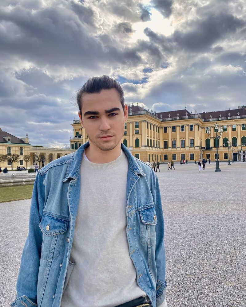 Ce notă a luat Radu Ștefan la licență