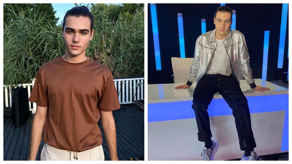 Ce notă a luat Radu Ștefan la licență