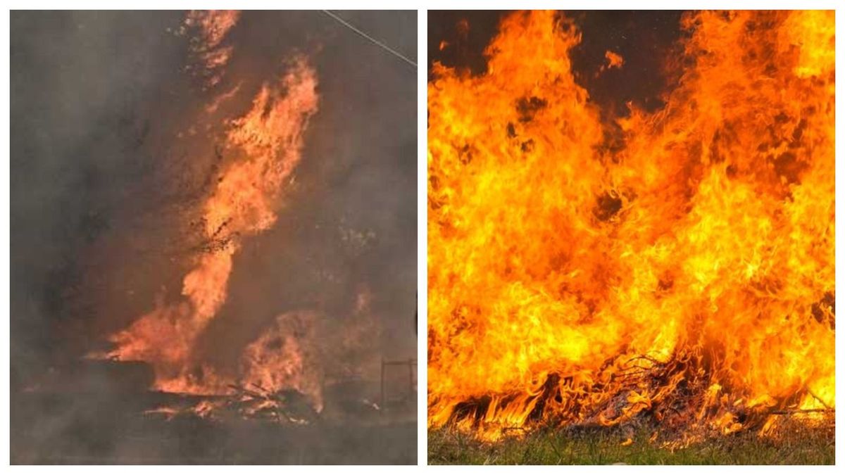 Insula Rodos, puternic afectată de incendiile de vegetație.