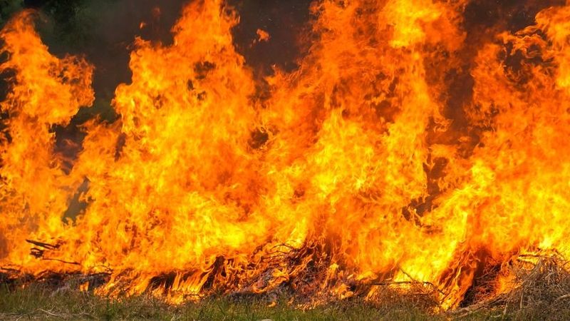 Insula Rodos, puternic afectată de incendiile de vegetație. Cum trăiesc turiștii rom&acirc;ni coșmarul cauzat: "O catastrofă. Drumurile sunt &icirc;nchise&rdquo; - VIDEO
