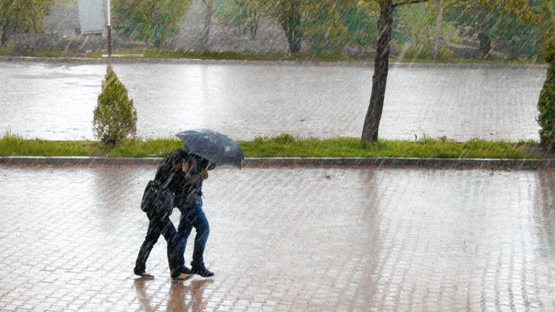 Cod roşu de vijelie puternică - v&acirc;nt cu rafale de peste 90 de kilometri pe oră, grindină şi ploi torenţiale