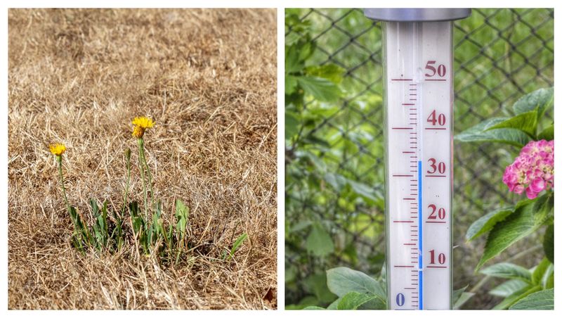 Vremea în weekend-ul 29-30 iulie. Scăpăm sau nu de caniculă?