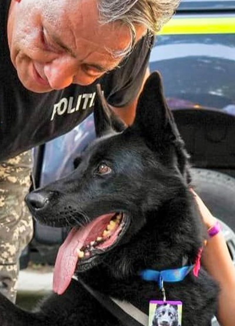 Suier face selfies la Untold