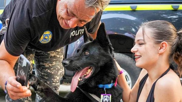 El este Șuier, câinele-vedetă care își face selfie cu tinerii de la festivalul Untold!