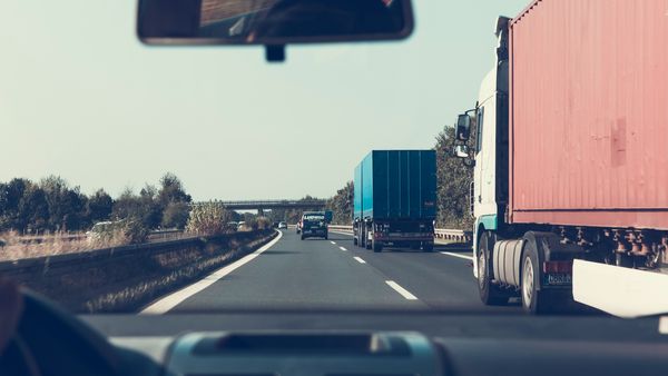 Știai că insectele lipite pe mașină, după un drum lung, îți atacă vopseaua?