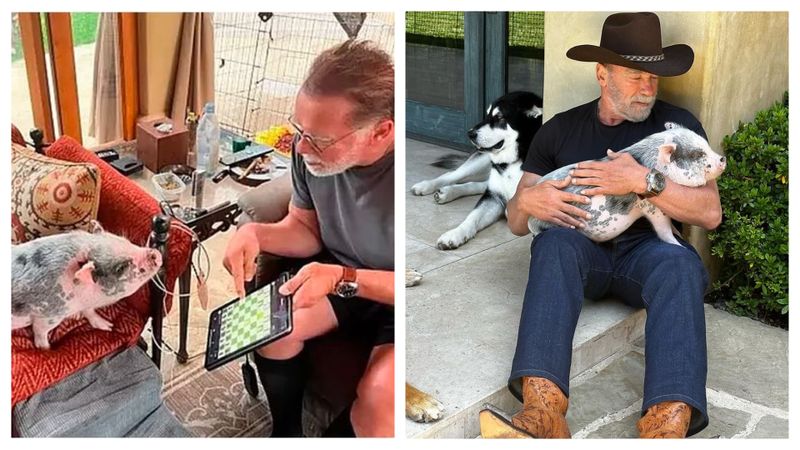 Arnold Schwarzenegger