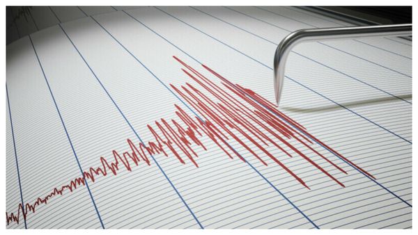 Panică în rândul gorjenilor, după un cutremur puternic. Ce magnitudine a avut și unde s-a simțit cel mai mult